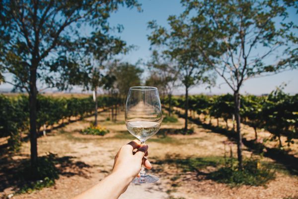 Jacuzzi Family Vineyards by null