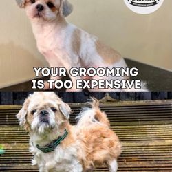 Critter Cuts Dog Grooming