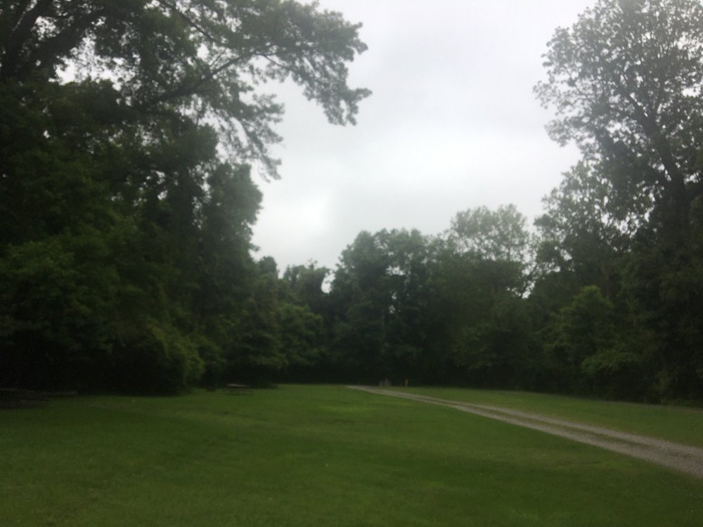 PETTIGREW STATE PARK Updated June 2024 24 Photos 2252 Lake Shore