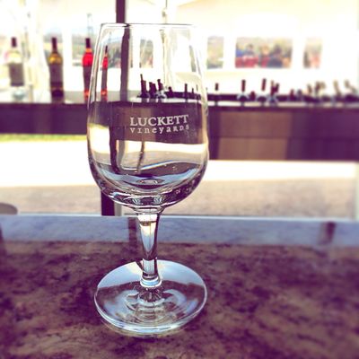 Luckett Vineyards by null