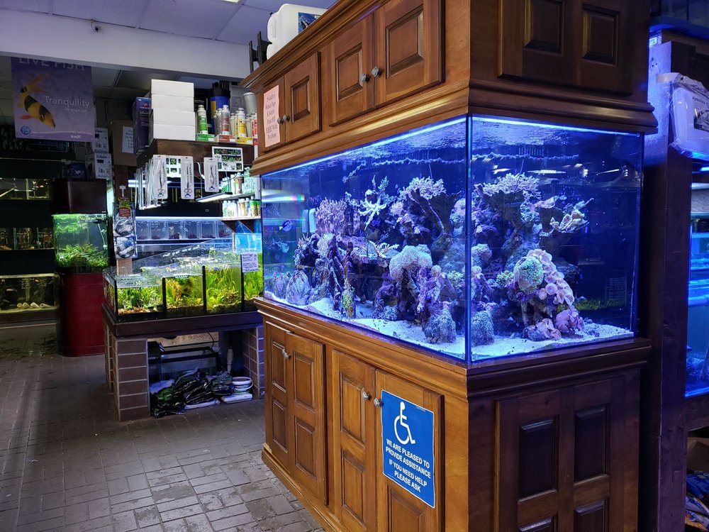 EXOTIC AQUARIUMS 48 Photos & 45 Reviews 7399 Bird Rd, Miami