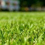 Photo of Fit Lawns Landscaping