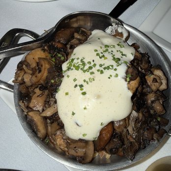 Ponte Modern American - Exotic Mushrooms - New American Near Me - Tampa, Florida Ponte Modern American - Exotic Mushrooms - New American Near Me - Tampa, Florida
