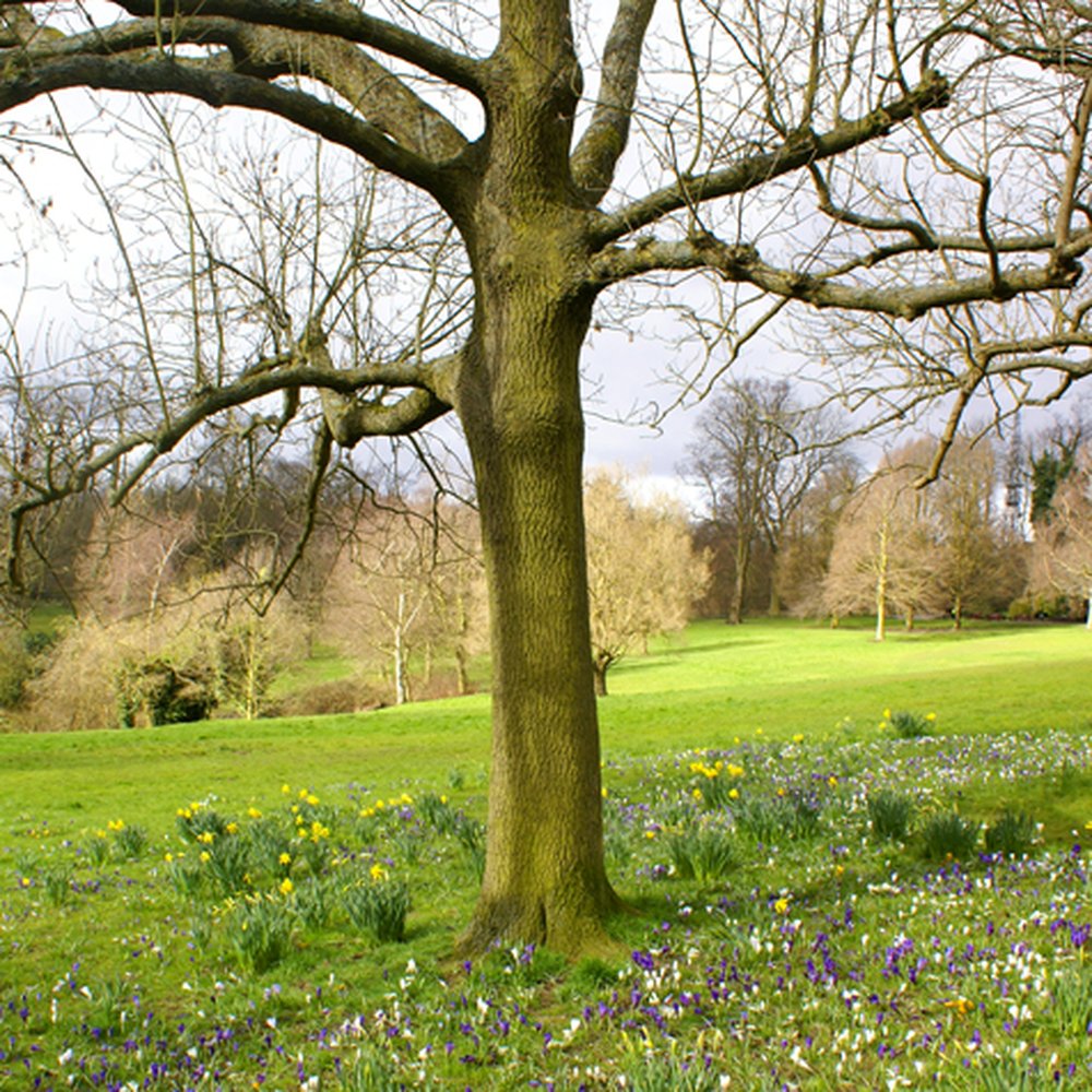 Waterlow Park - Waterlow Park, London - Parks Near Me - London, XGL Waterlow Park - Waterlow Park, London - Parks Near Me - London, XGL