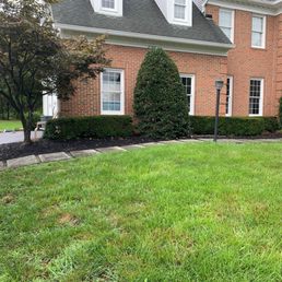Old paver walkway, before concrete walkway installation.