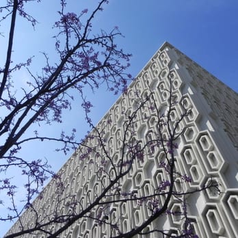 PAULINA JUNE AND GEORGE POLLAK LIBRARY - Updated March 2026 - 23 Photos ...