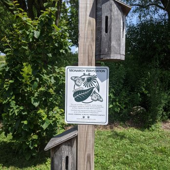 Mequon Nature Preserve - Monarchs live here - Parks Near Me - Mequon, Wisconsin Mequon Nature Preserve - Monarchs live here - Parks Near Me - Mequon, Wisconsin