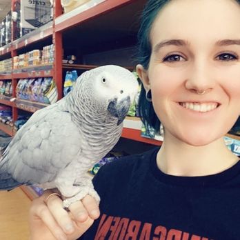 I Love My Pets - One of the many birds that has since found their loving home - Pet Groomers Near Me - Rockwood, Michigan I Love My Pets - One of the many birds that has since found their loving home - Pet Groomers Near Me - Rockwood, Michigan