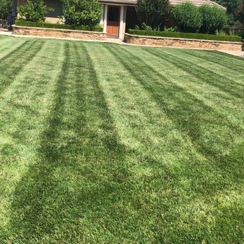 Alanis Landscaping - Alanis Landscaping - Lawn Services Near Me Alanis Landscaping - Alanis Landscaping - Lawn Services Near Me