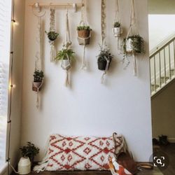 Domino's Pizza - Plants