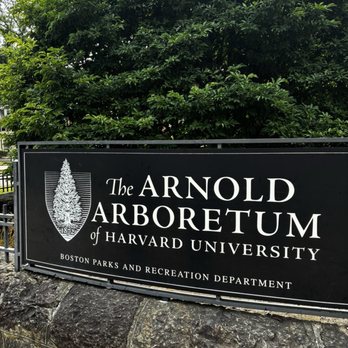 Arnold Arboretum - Parks Near Me - Boston, Massachusetts