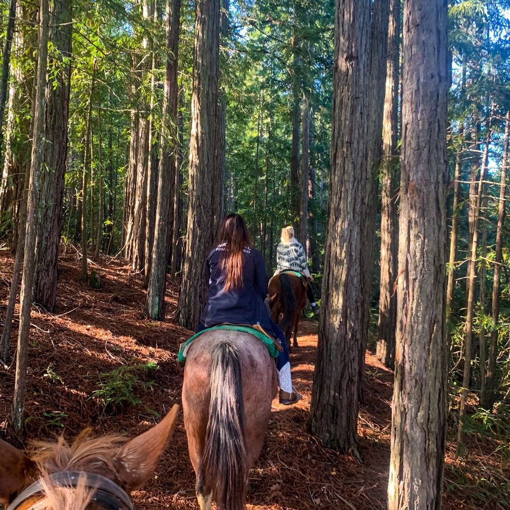 The Ranch at Lake Sonoma - Horseback Riding Near Me - Geyserville, California The Ranch at Lake Sonoma - Horseback Riding Near Me - Geyserville, California
