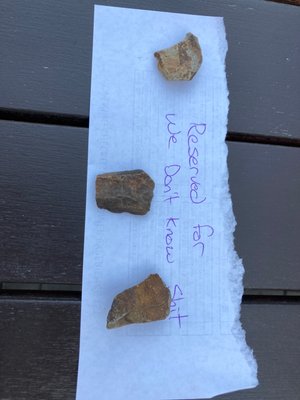 Silver Moon Brewing by null