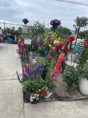 Armstrong Garden Centers by null