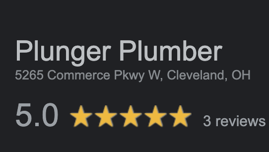 Slide of Plunger Plumber