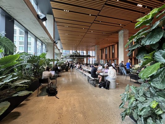 Georgie’s Cafe & Bar by null