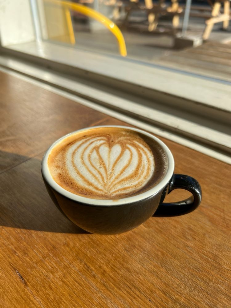 PORCHLIGHT COFFEE & RECORDS 85 Photos & 96 Reviews 1517 14th Ave