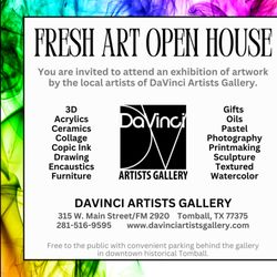 DaVinci Artists Gallery - Meet the 14 local artists that represent DaVinci's!
