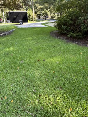 2026 Lawn Mowing Collection - This is a collection of recently completed lawn mowing projects in Wake County. We take great pride in our work and want to earn your business. Free no obligation estimates upon request. We appreciate you taking a look and hope to add your photos here in the near future! Please feel free to reach out with any questions or to confirm scheduling. Thank you very much,
Jesse
919-909-8704 2026 Lawn Mowing Collection - This is a collection of recently completed lawn mowing projects in Wake County. We take great pride in our work and want to earn your business. Free no obligation estimates upon request. We appreciate you taking a look and hope to add your photos here in the near future! Please feel free to reach out with any questions or to confirm scheduling. Thank you very much,
Jesse
919-909-8704
