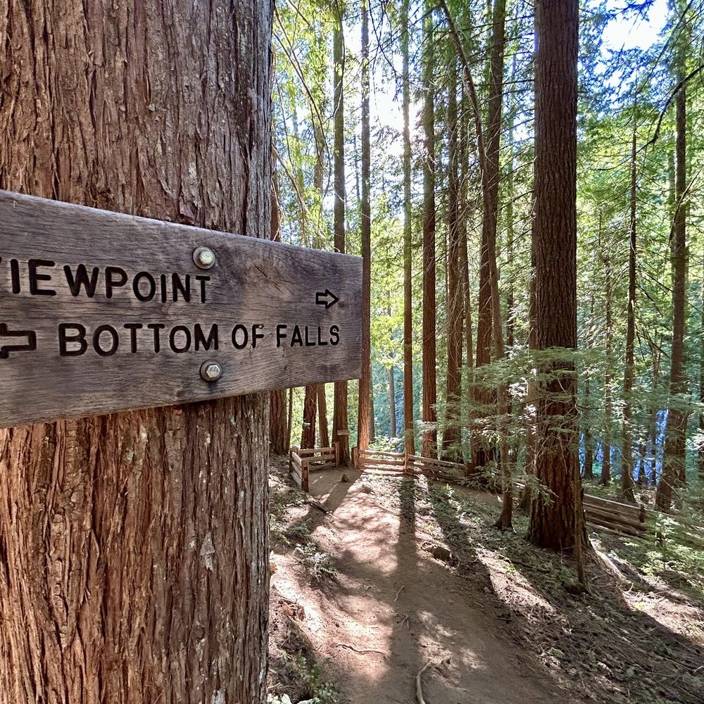 Panther Creek Falls - Two options for visiting along the trail...the Viewpoint or Bottom of the Falls. - Hiking Near Me - Carson, Washington Panther Creek Falls - Two options for visiting along the trail...the Viewpoint or Bottom of the Falls. - Hiking Near Me - Carson, Washington