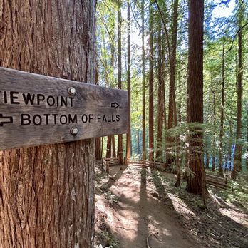 Panther Creek Falls - Two options for visiting along the trail...the Viewpoint or Bottom of the Falls. - Hiking Near Me - Carson, Washington Panther Creek Falls - Two options for visiting along the trail...the Viewpoint or Bottom of the Falls. - Hiking Near Me - Carson, Washington