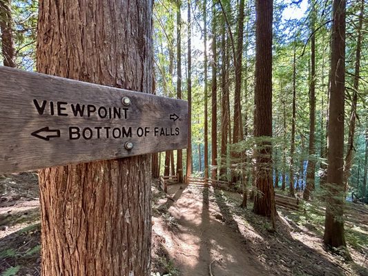 Panther Creek Falls by null