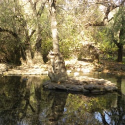 Yosher Tours - Tel Dan