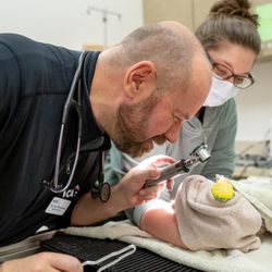 VCA Noyes Animal Hospital