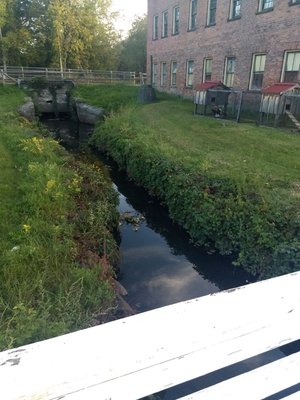 Shaker Heritage Society by null