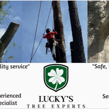Lucky's Tree Experts - Tree Services Near Me - Jackson, Mississippi Lucky's Tree Experts - Tree Services Near Me - Jackson, Mississippi
