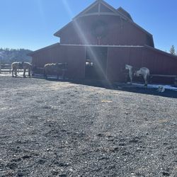 Brush Creek Trails - The barn