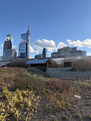 Calder Gardens by null