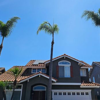 Tree Services Flores - Tree Services Near Me Tree Services Flores - Tree Services Near Me