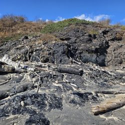 Tar Pits Beach - Tar seeps