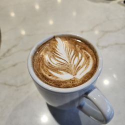 Insomnia Coffee - Cedar Mill