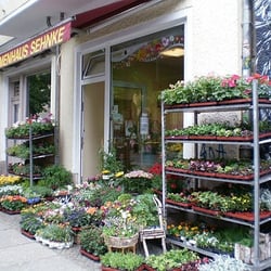 Blumenhaus Sehnke - Blumenhaus Sehnke