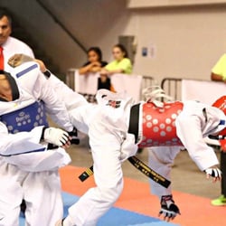 Sunnyside Taekwondo - Austin Carter wins the Sr. Fin Wt. Div. CA State Championship in 2014
