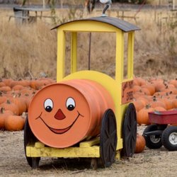 Joan's Farm & Pumpkin Patch