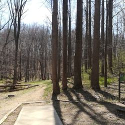 Seneca Creek Disc Golf - Well maintained and mapped