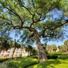 Florida Southern College gift card