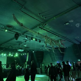 The Crocodile - Crocodile skeleton on ceiling - Music Venues Near Me - Seattle, Washington