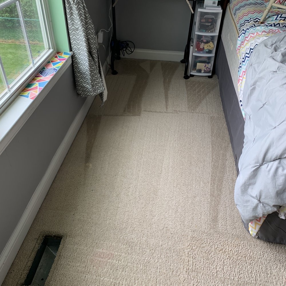 Harris Carpet Cleaning - Carpet Cleaning Near Me Harris Carpet Cleaning - Carpet Cleaning Near Me