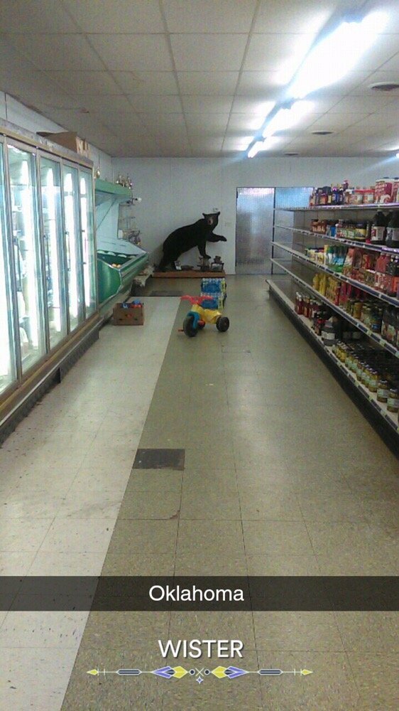 WISTER FOOD MART CLOSED 501 US Hwy 271, Wister, Oklahoma Grocery