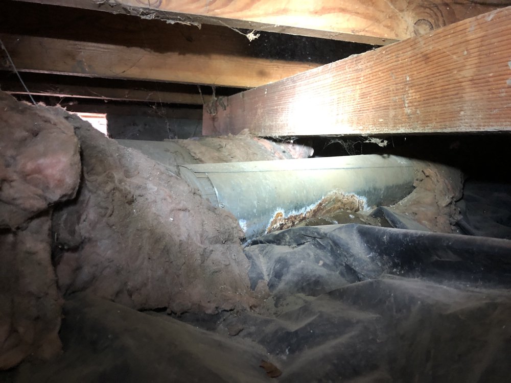 Noble Home Inspection - veterans service organization in Scappoose, OR