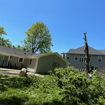 Native Tree Care - Tree Services Near Me - Amelia, Ohio Native Tree Care - Tree Services Near Me - Amelia, Ohio