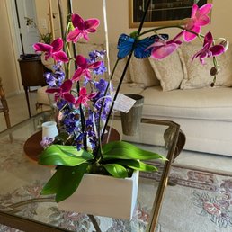 stand for hanging plants Plant Hanger (Light & Airy) main image 0