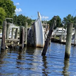 Cruise The Neuse Boat Tours - From Hurricane Florence