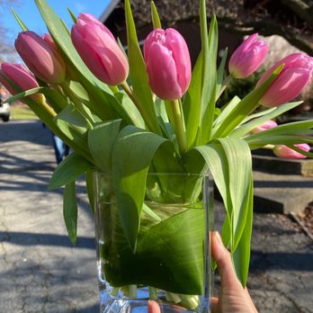 Picked Blooms - Tulips - Floral Designers Near Me