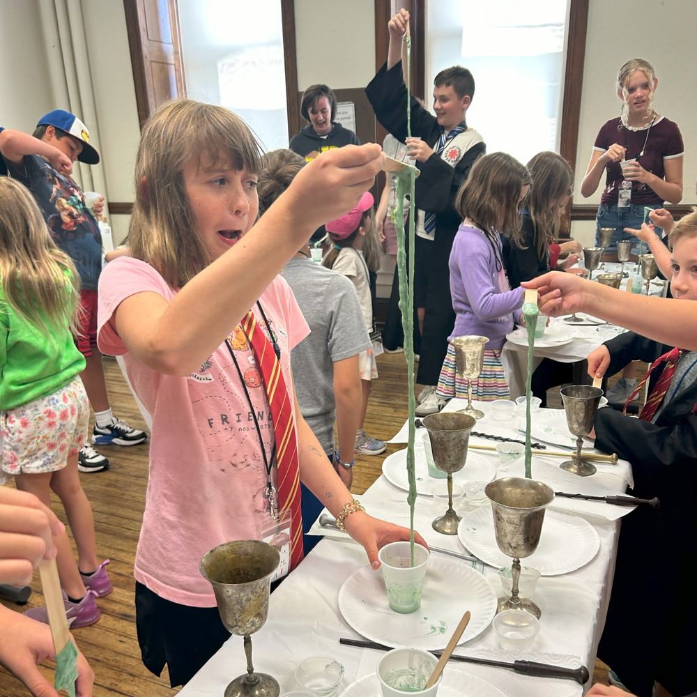 Brandywine School of Wizardry Logo