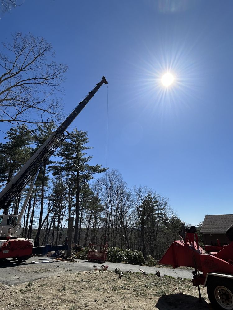 Hobbs & Sons Services - tree service in Derry, NH